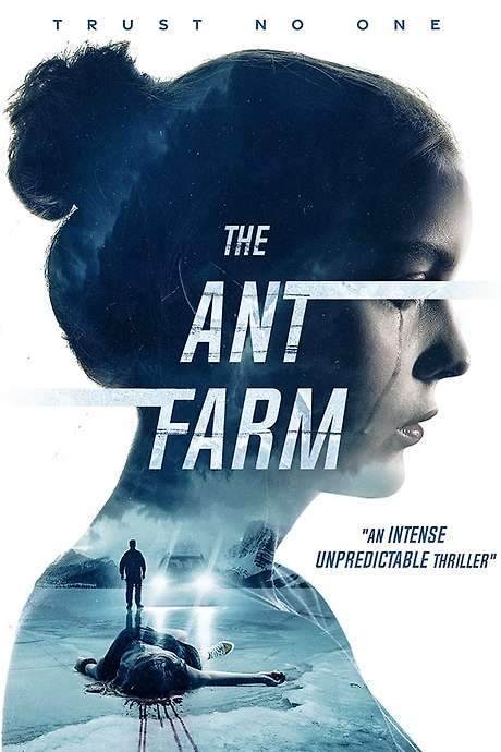 The Ant Farm